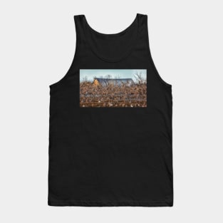 A Few Birds Flying in Front of an Old Barn Tank Top